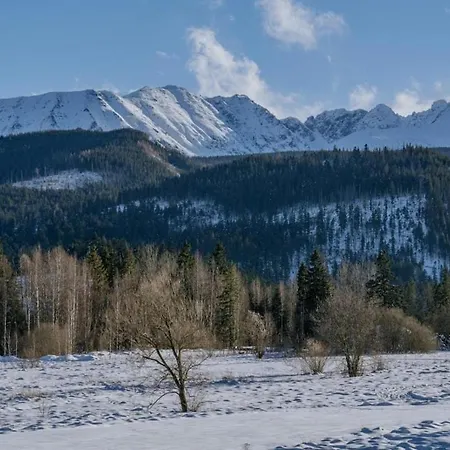 Dom wakacyjny Tatra Panorama - Ski, Hike & Relax Retreat Zakopane